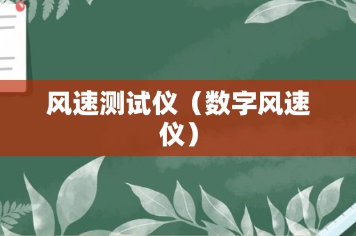 风速测试仪（数字风速仪）