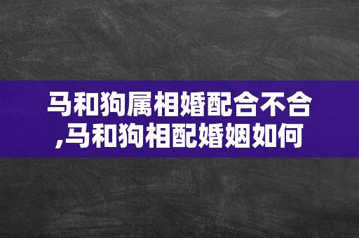 马和狗属相婚配合不合,马和狗相配婚姻如何