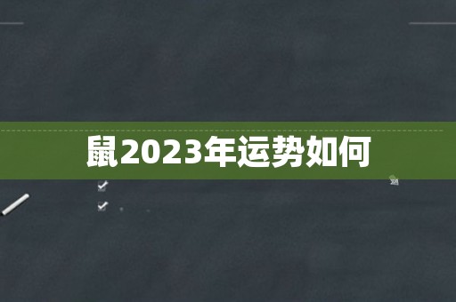 鼠2023年运势如何