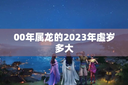 00年属龙的2023年虚岁多大