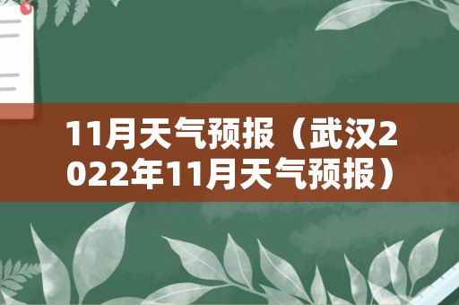 11月天气预报（武汉2022年11月天气预报）