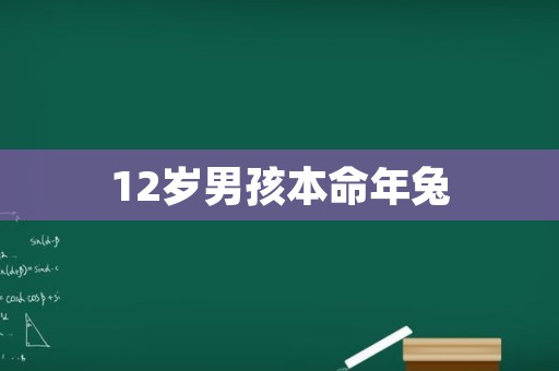 12岁男孩本命年兔