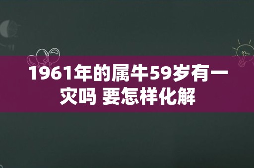 1961年的属牛59岁有一灾吗 要怎样化解