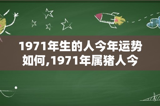 1971年生的人今年运势如何,1971年属猪人今年运势