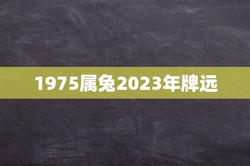 1975属兔2023年牌远