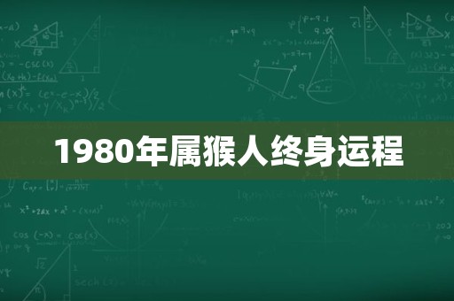 1980年属猴人终身运程