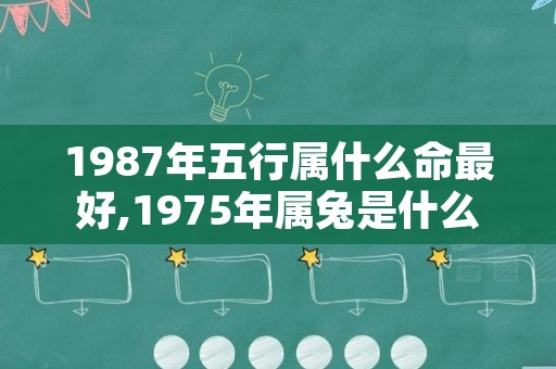 1987年五行属什么命最好,1975年属兔是什么命