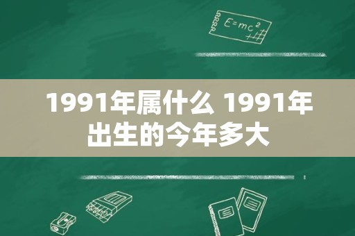 1991年属什么 1991年出生的今年多大