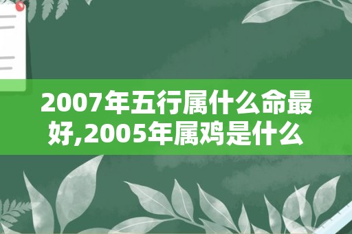 2007年五行属什么命最好,2005年属鸡是什么命