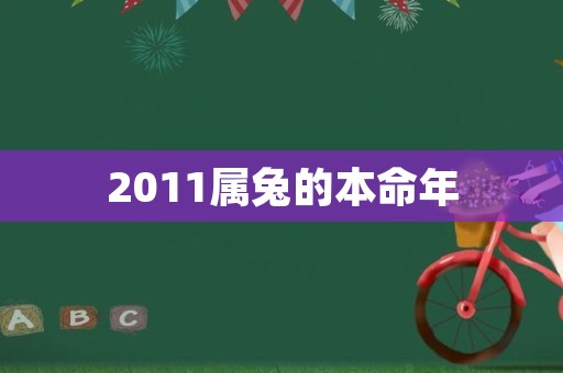 2011属兔的本命年