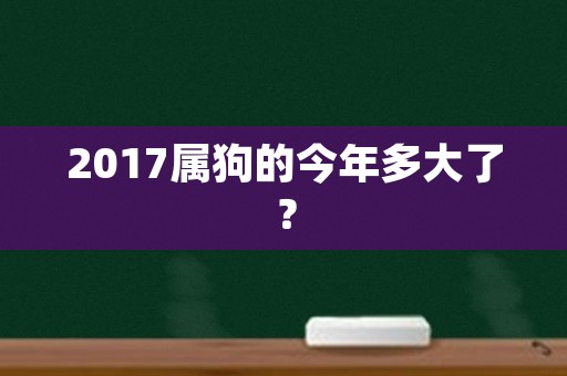 2017属狗的今年多大了？