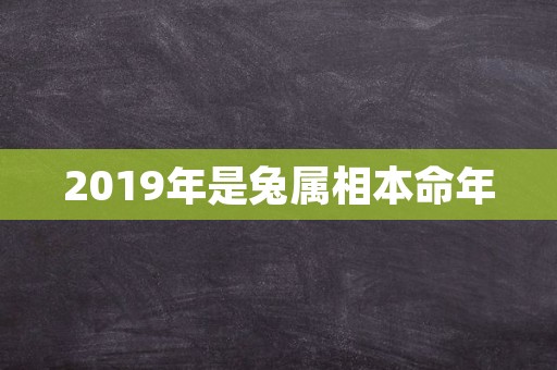 2019年是兔属相本命年