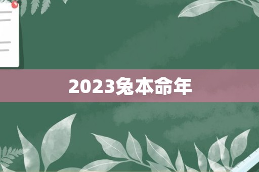 2023兔本命年