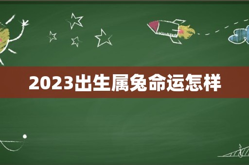 2023出生属兔命运怎样