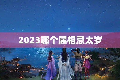 2023哪个属相忌太岁