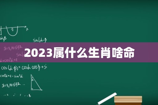 2023属什么生肖啥命