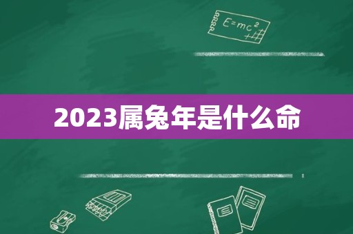 2023属兔年是什么命