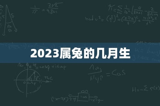 2023属兔的几月生