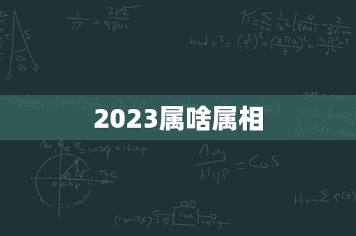 2023属啥属相