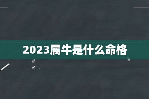 2023属牛是什么命格