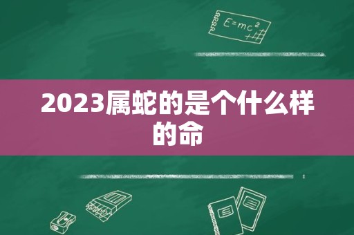 2023属蛇的是个什么样的命