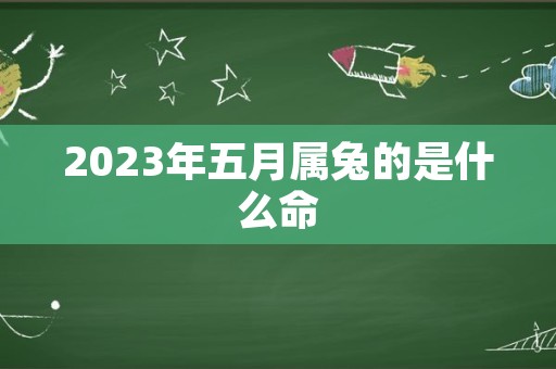 2023年五月属兔的是什么命