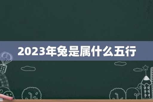 2023年兔是属什么五行