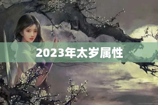 2023年太岁属性