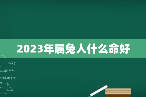 2023年属兔人什么命好