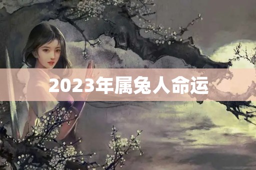 2023年属兔人命运