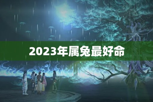 2023年属兔最好命