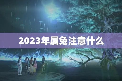 2023年属兔注意什么