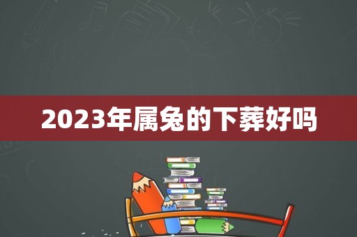 2023年属兔的下葬好吗