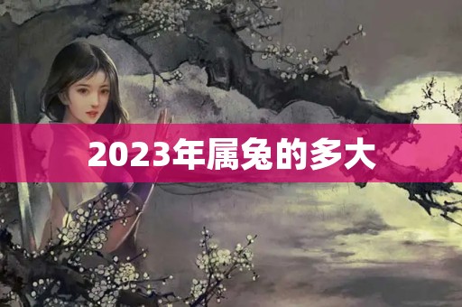 2023年属兔的多大