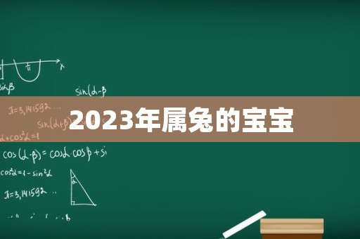 2023年属兔的宝宝