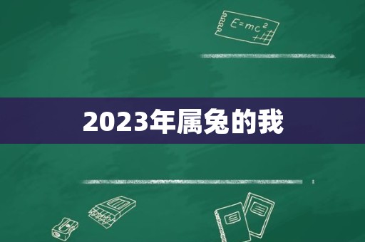 2023年属兔的我