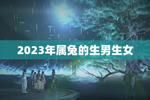 2023年属兔的生男生女