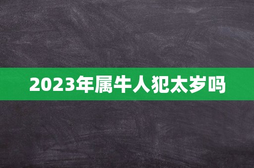 2023年属牛人犯太岁吗