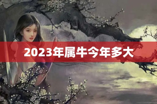 2023年属牛今年多大