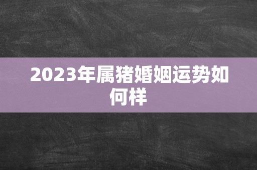 2023年属猪婚姻运势如何样