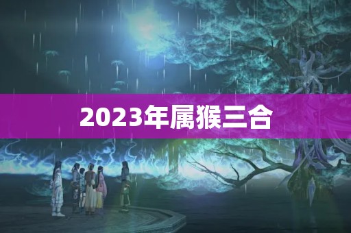 2023年属猴三合