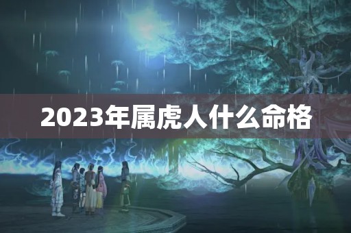 2023年属虎人什么命格