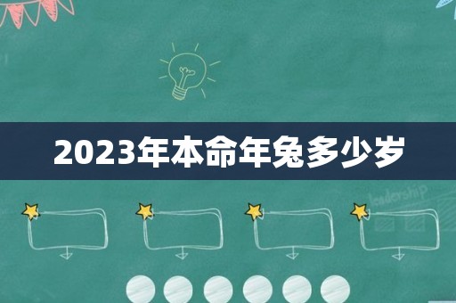 2023年本命年兔多少岁