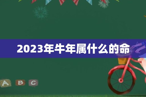 2023年牛年属什么的命