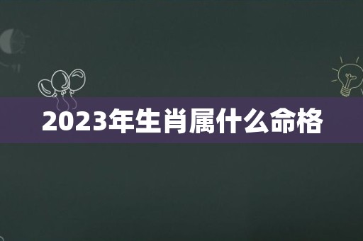 2023年生肖属什么命格