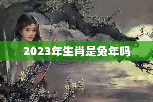 2023年生肖是兔年吗