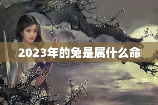 2023年的兔是属什么命