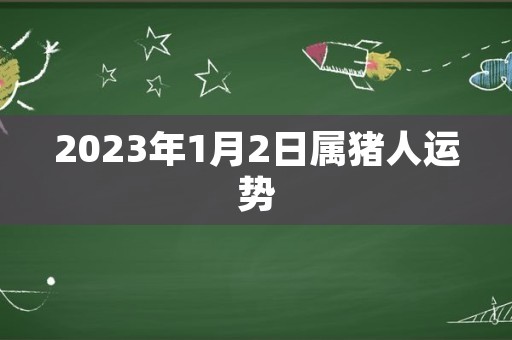 2023年1月2日属猪人运势