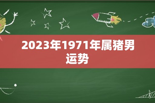 2023年1971年属猪男运势