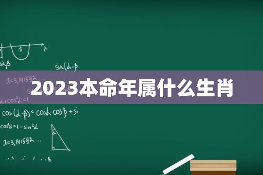 2023本命年属什么生肖